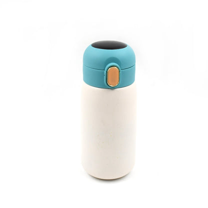 Smart Vacuum Insulated Water Bottle with LED Temperature Display (420 ML / Mix Design & Color)