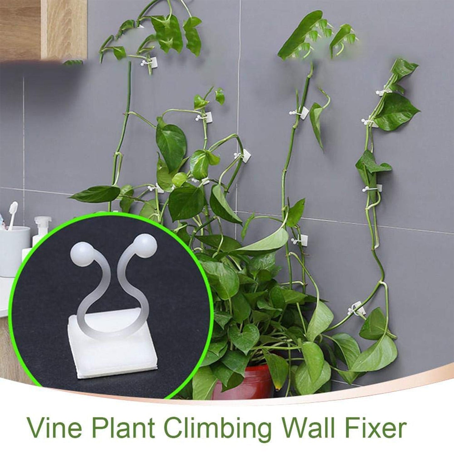 Versatile plant clips for guiding indoor and outdoor climbing plants