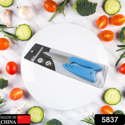 Small stainless steel fruit knife, protective cover included