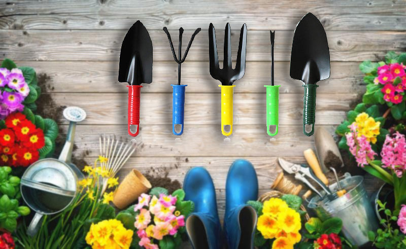 Variety of hand tools for garden maintenance