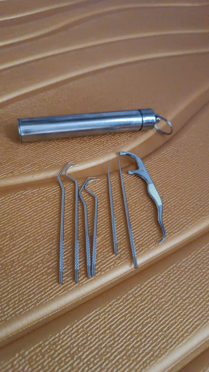 7 IN 1 STAINLESS STEEL TOOTHPICK FLOSSIER SET (1 SET / With Case)