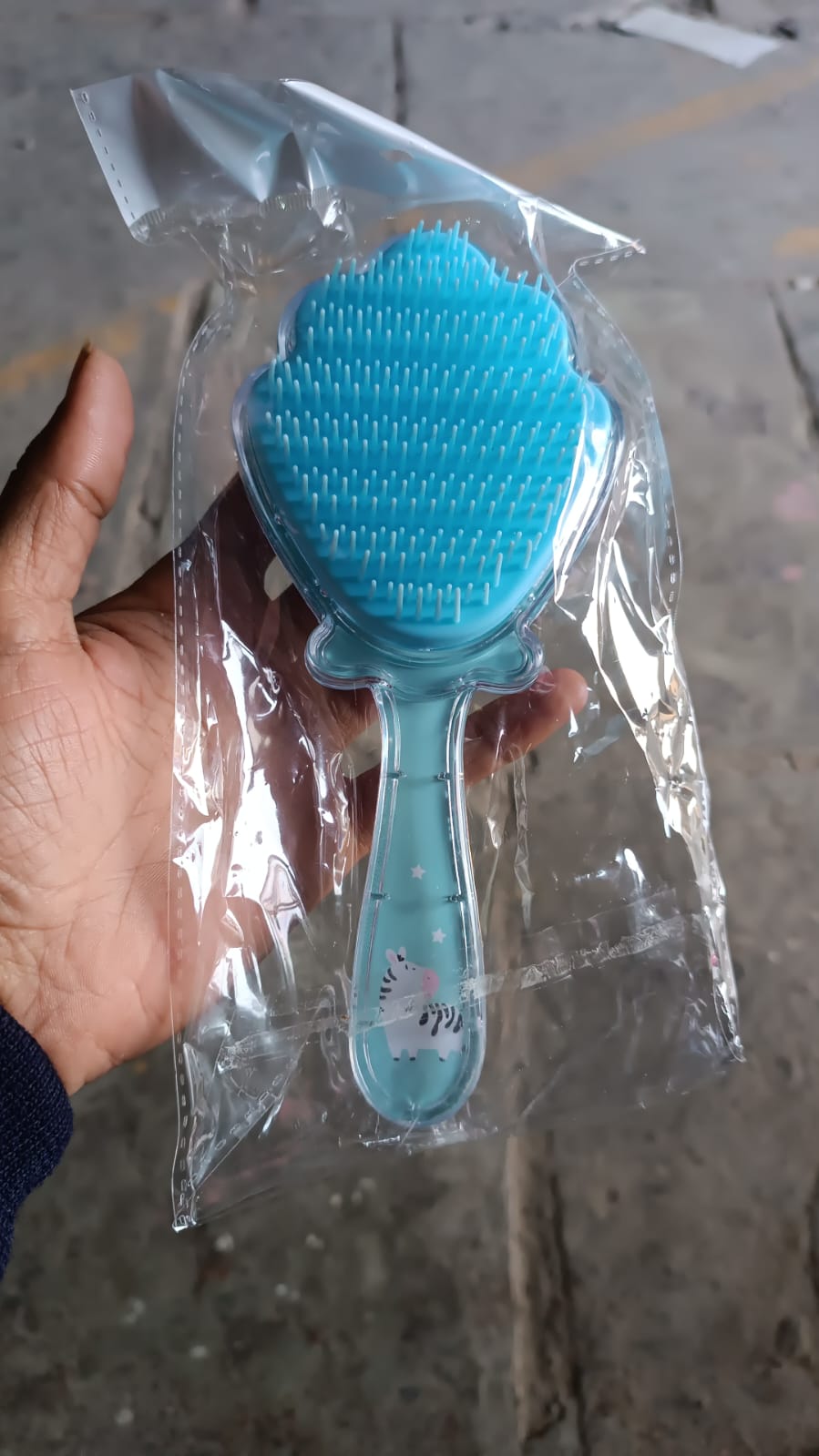 Cartoon Hair Brush Massage Shower Comb Blur Wet Salon (1 Pc )