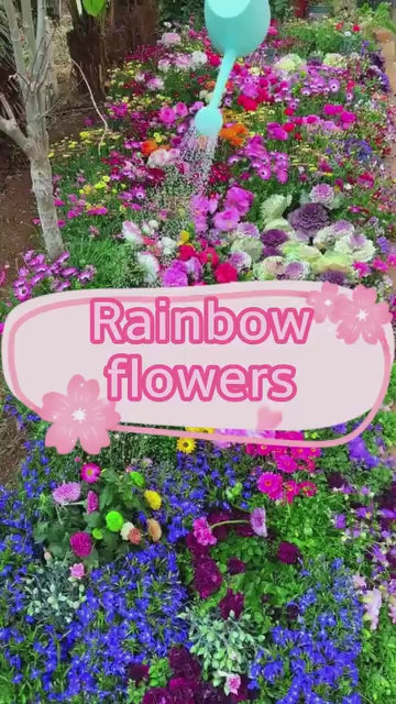 Varieties of Flower Seeds And Plant Growth Supplement Free